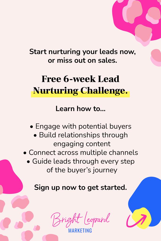 Lead nurturing challenge